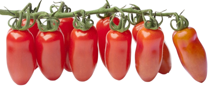 Pomodori datterini